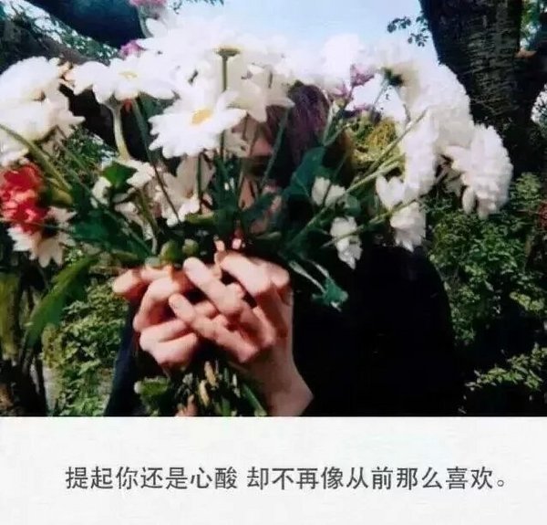 你那么孤独，却说一个人真好