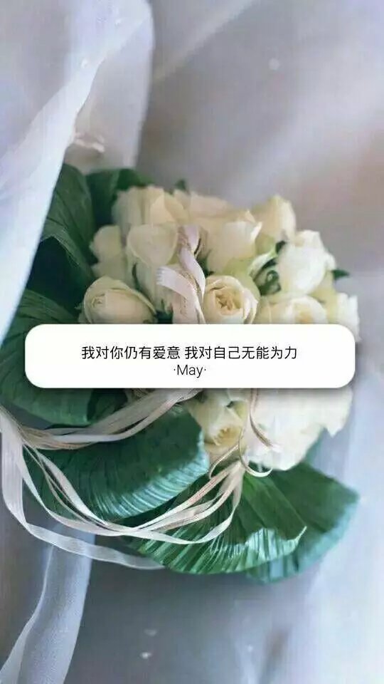 原有岁月可回头，且以深情共白首