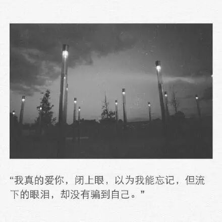 流下的眼泪，却没有骗到自己