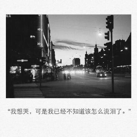 唯美图片，文字图片，动漫图片，情侣图片,qqqqp.com