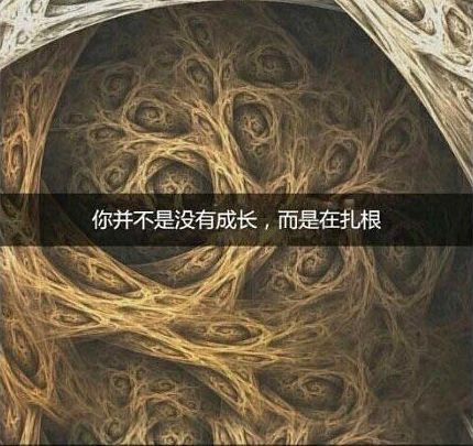 你并不是没有成长 而是在扎根。
