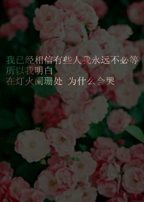 恋上你 对你始终如一日日夜夜在继续