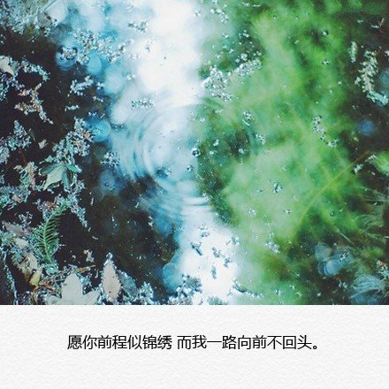 别抓着回忆不放，还以为什么都不会变