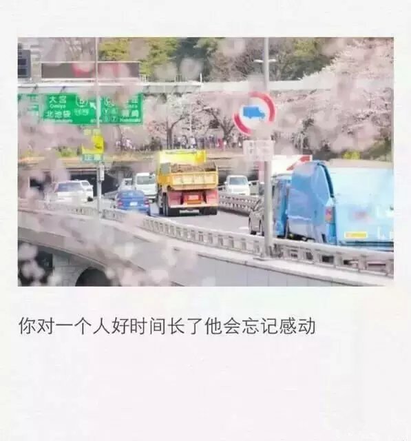 没人治愈你，那你就治愈自己