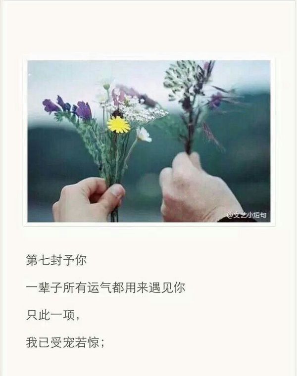 唯美图片，文字图片，动漫图片，情侣图片,qqqqp.com