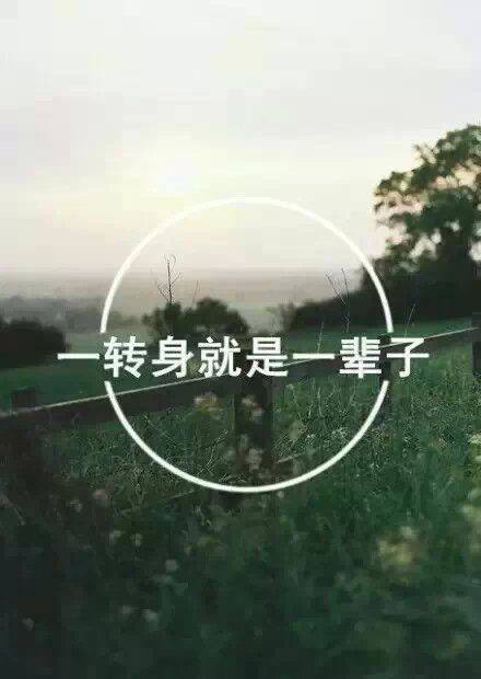 挥别错的菜能和对的相逢