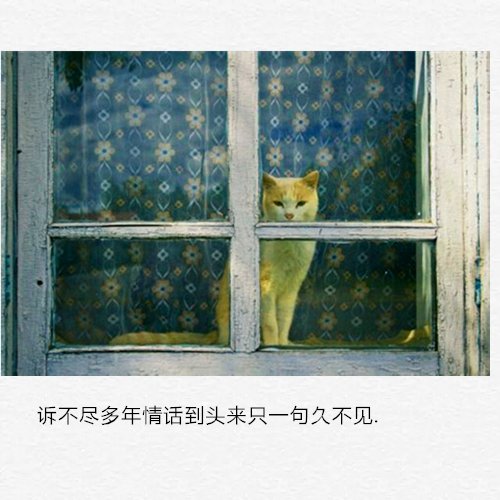 若说世界虚伪，倒不如说是人心可畏