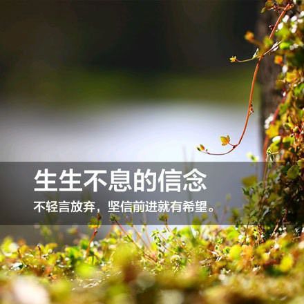 无论去哪儿，什么天气，记得带上阳光