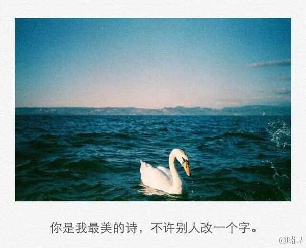 你是我最美丽的诗，不许别人改一个字