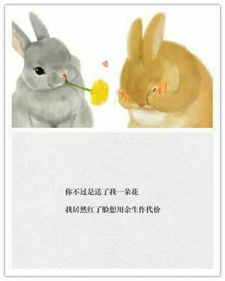 唯美图片，文字图片,情侣图片qqqqp