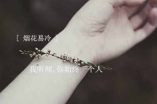 这些歌你听过几首