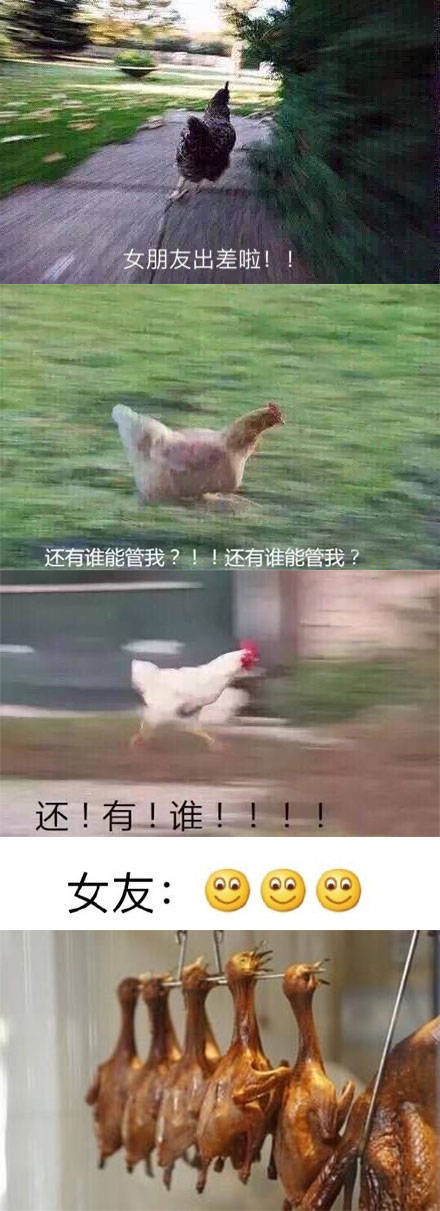 百思不得其解啊