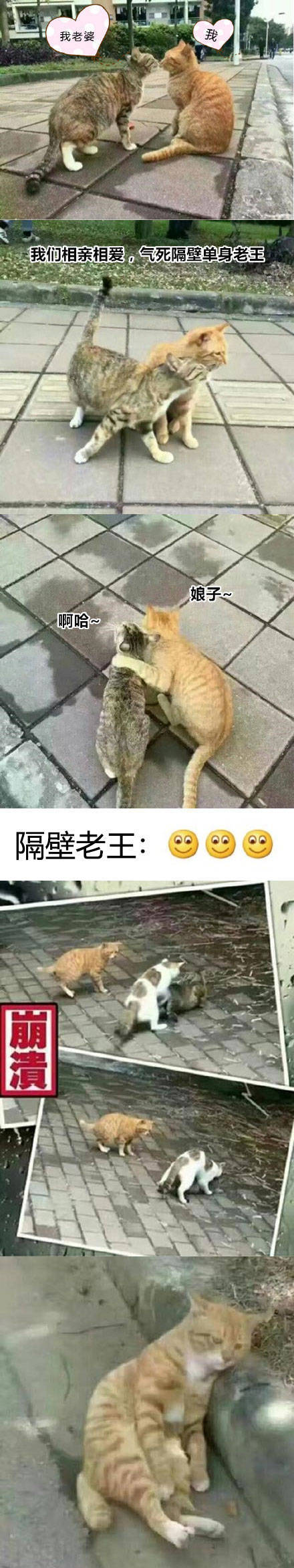 唯美图片，文字图片,情侣图片qqqqp