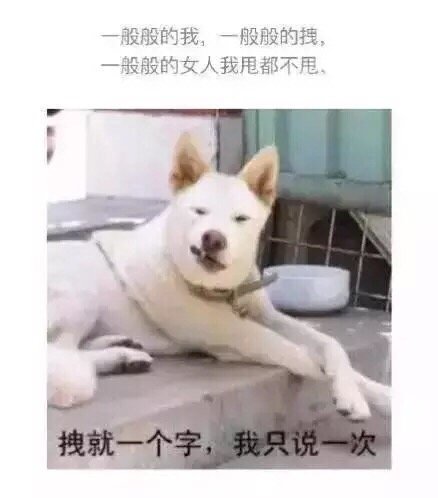 拽就一个字，我只说一次