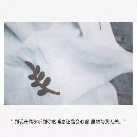 唯美图片，文字图片，动漫图片，情侣图片,qqqqp.com