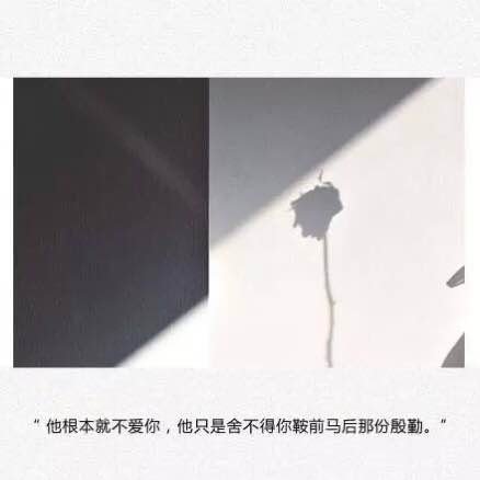 唯美图片，文字图片，动漫图片，情侣图片,qqqqp.com