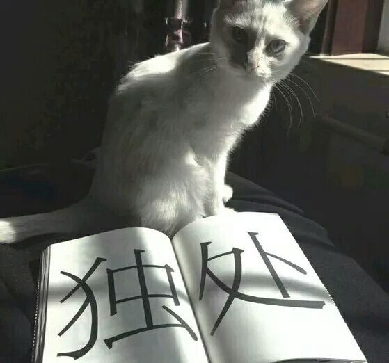 乱七八糟