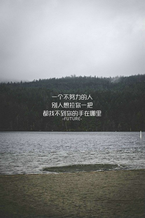 唯美图片，文字图片,情侣图片qqqqp