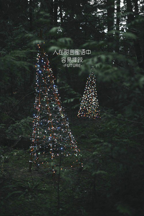 唯美图片，文字图片,情侣图片qqqqp