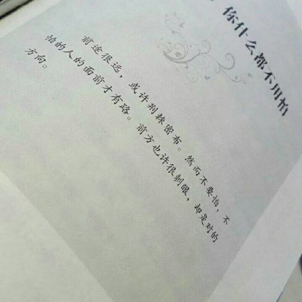 怪我孤陋寡闻不知你身边已有佳人
