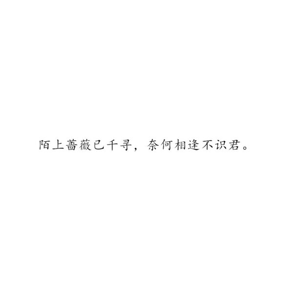 唯美图片，文字图片,情侣图片qqqqp