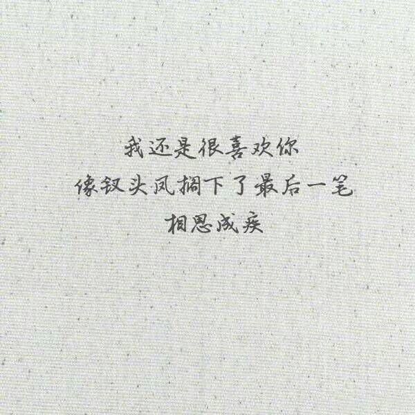 唯美图片，文字图片,情侣图片qqqqp