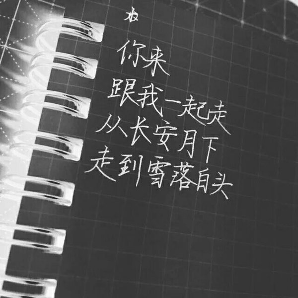 唯美图片，文字图片,情侣图片qqqqp