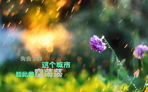 唯美图片，文字图片,情侣图片qqqqp