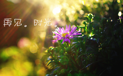 失去了你，这个城市，如此空荡