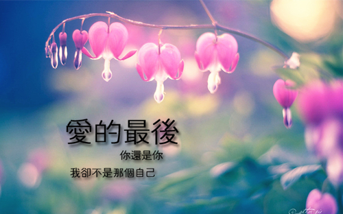 唯美图片，文字图片,情侣图片qqqqp