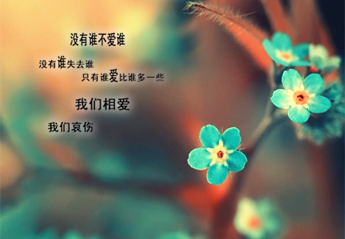 唯美图片，文字图片,情侣图片qqqqp