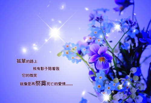 唯美图片，文字图片,情侣图片qqqqp