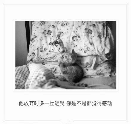 唯美图片，文字图片，动漫图片，情侣图片,qqqqp.com