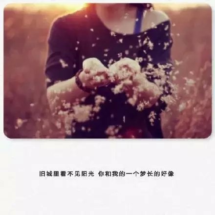 用系甘情愿的态度，过随遇而安的生活