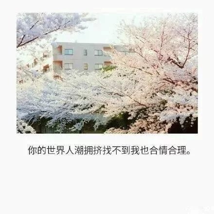 你以后会有很多未来，不要回头看我