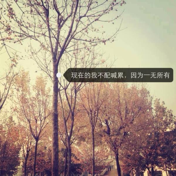 唯美图片，文字图片，动漫图片，情侣图片,qqqqp.com