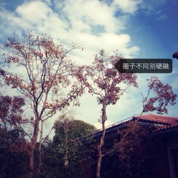 唯美图片，文字图片，动漫图片，情侣图片,qqqqp.com