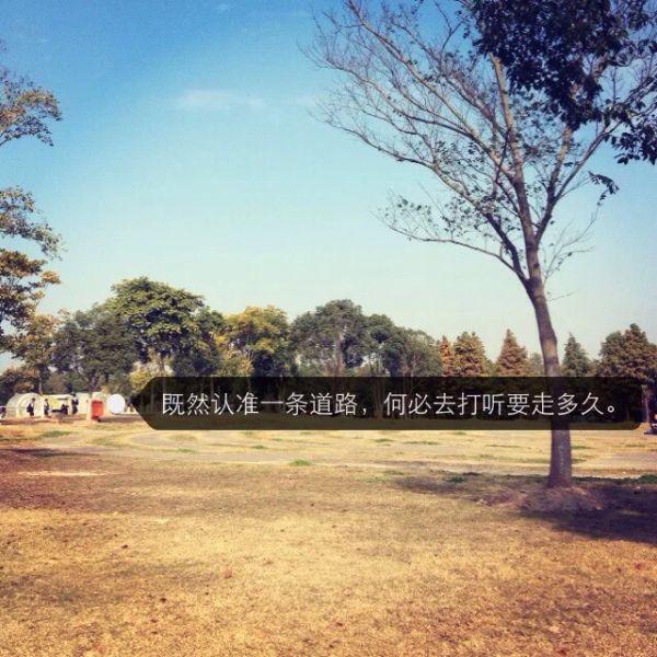 唯美图片，文字图片，动漫图片，情侣图片,qqqqp.com