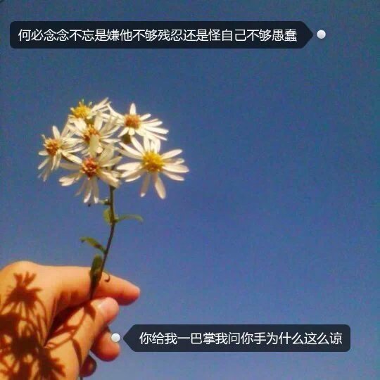 唯美图片，文字图片，动漫图片，情侣图片,qqqqp.com