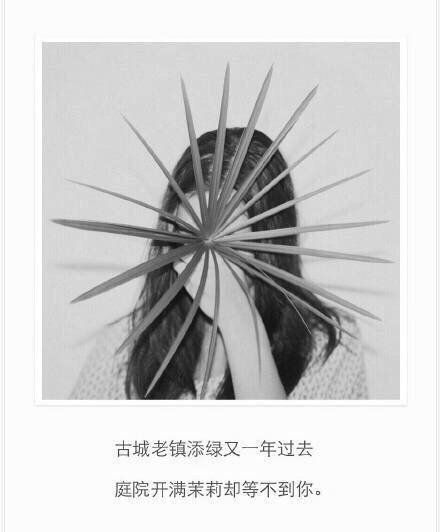 唯美图片，文字图片，动漫图片，情侣图片,qqqqp.com