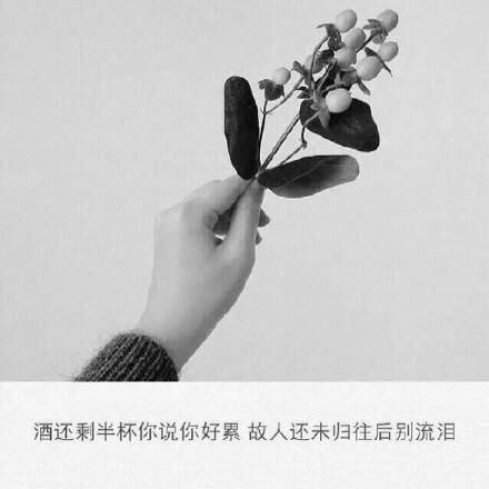 唯美图片，文字图片，动漫图片，情侣图片,qqqqp.com