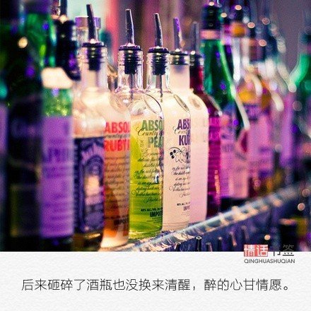 我温了一壶乡愁，将往事喝个够