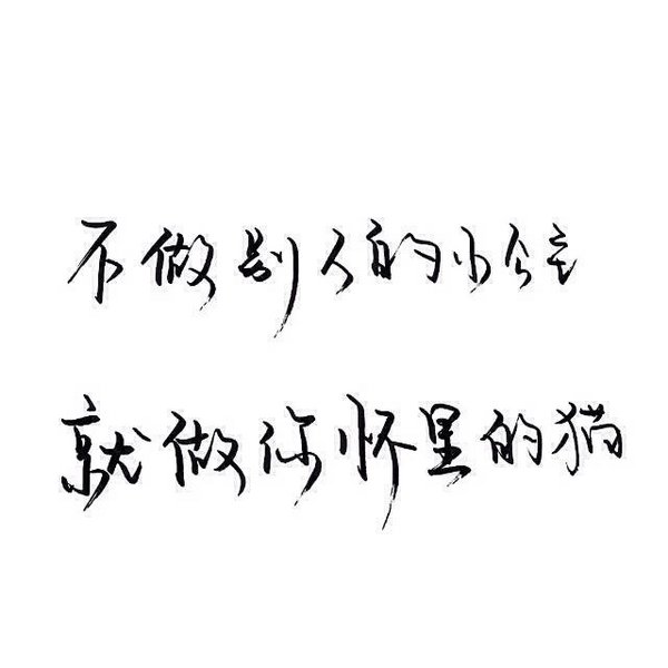 唯美图片，文字图片,情侣图片qqqqp