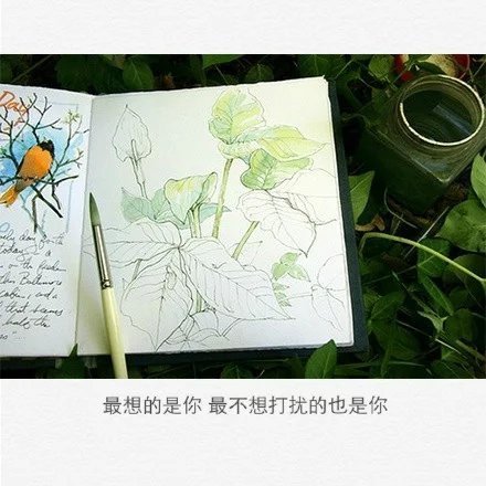 唯美图片，文字图片，动漫图片，情侣图片,qqqqp.com