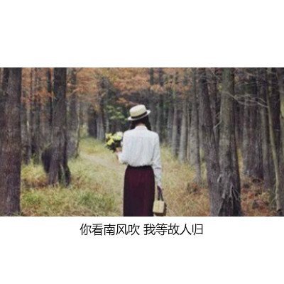 唯美图片，文字图片，动漫图片，情侣图片,qqqqp.com