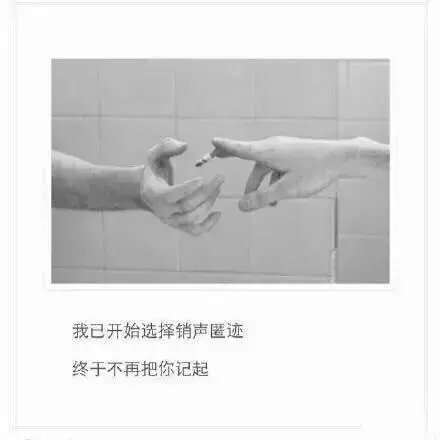 唯美图片，文字图片，动漫图片，情侣图片,qqqqp.com