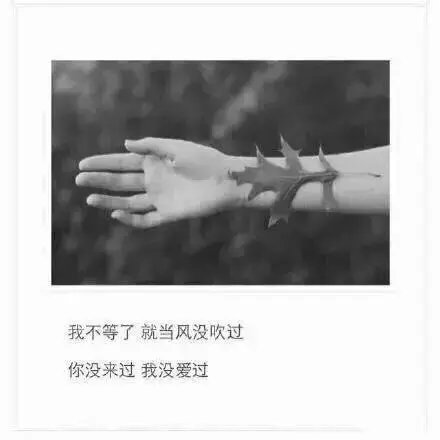 唯美图片，文字图片，动漫图片，情侣图片,qqqqp.com