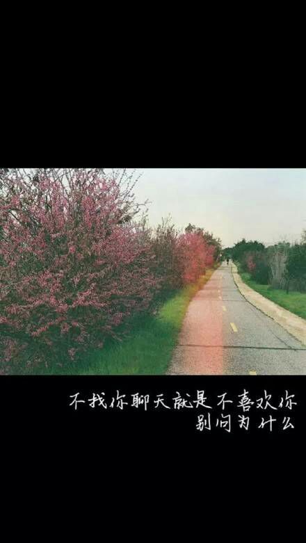 唯美图片，文字图片，动漫图片，情侣图片,qqqqp.com