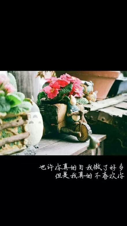 唯美图片，文字图片，动漫图片，情侣图片,qqqqp.com