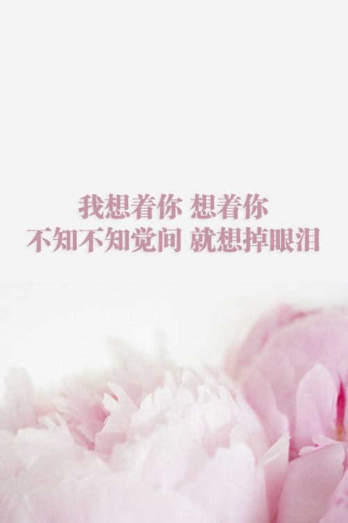 别对我好，如果你迟早要走